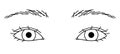 woman eyes, double eyelids, Almond eyes, outline illustration